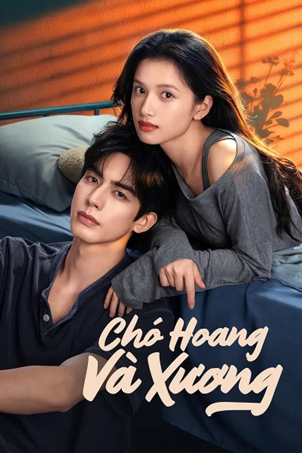 Poster phim Chó Hoang Và Xương trên Motchill