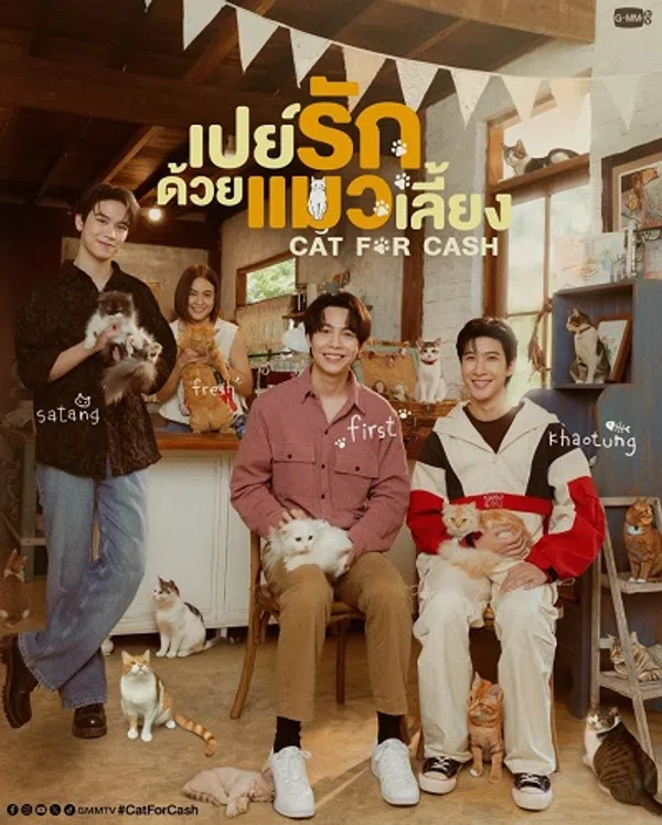Đổi Tình Lấy Mèo