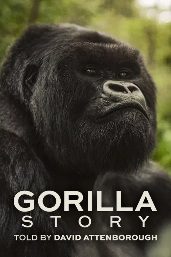 Xem Phim Hành Trình Của Khỉ Đột – Qua Giọng Kể David Attenborough Vietsub HD Online