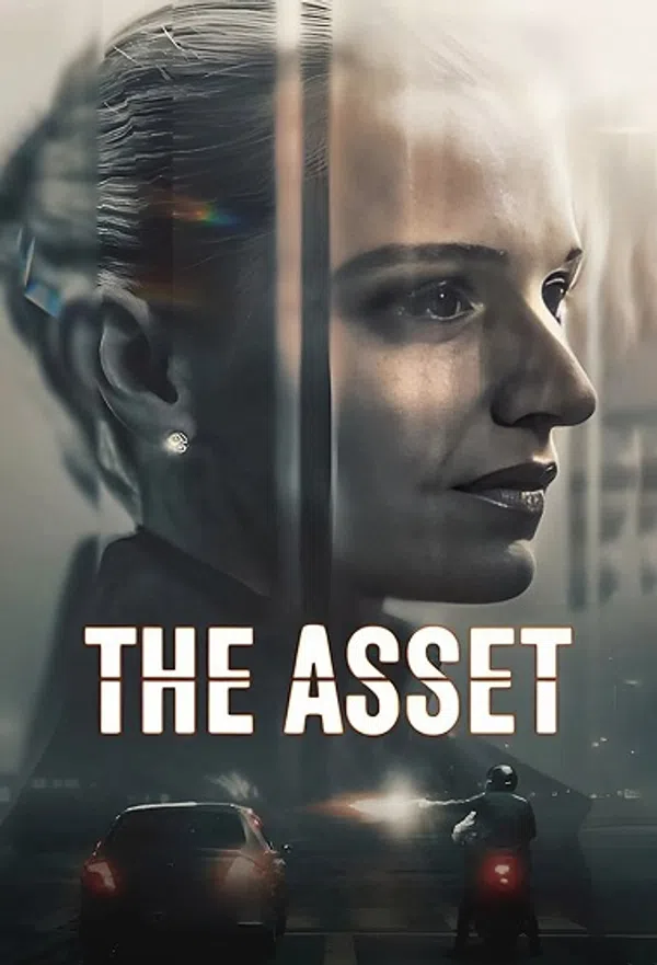 Poster phim The Asset trên Motchill