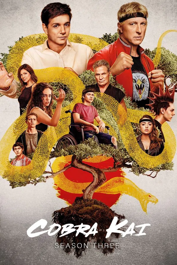 Poster phim Võ Đường Cobra Kai (Phần 3) trên Motchill